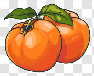 Persimmon - Fresh Persimmons Fruit Illustration Transparent PNG