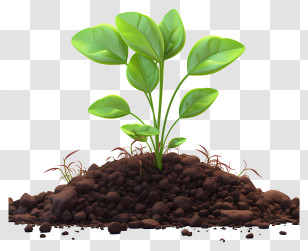 Sprout From The Ground - Green Plant Growing In Fresh Soil Transparent PNG