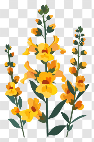 Snapdragon Flower - Yellow Blossoming Flowers With Green Stems Transparent PNG