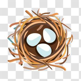 Cartoon Eggs - Bird Nest With Eggs Illustration Transparent PNG