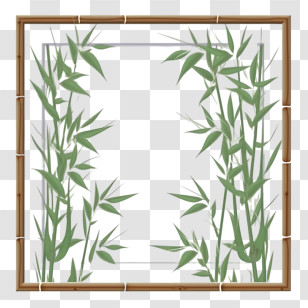 Bamboo Frame - Nature-Inspired Bamboo Border Illustration Transparent PNG