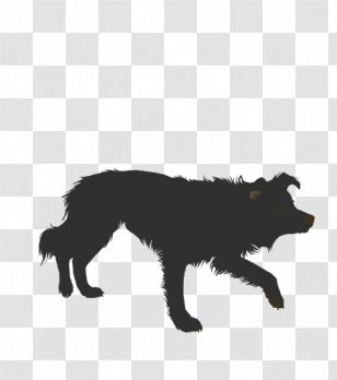 Rough Collie Border Australian Shepherd Borzoi German Transparent PNG