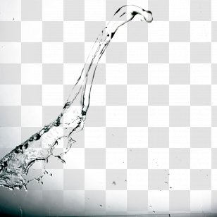 Switch Wi-Fi Home Automation Wireless - Organism - Water Transparent PNG