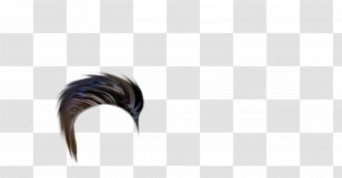 Feather Close-up Eye Transparent PNG