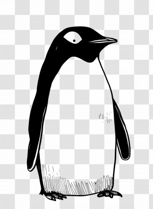 Cartoon Penguin - Penguin Illustration In Black And White Style Transparent PNG