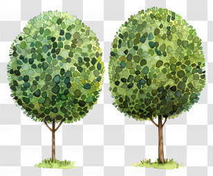 Green Trees - Green Trees In Nature Transparent PNG