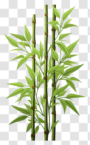 Hand Drawn Bamboo Stem - Green Bamboo Illustration With Leaves Transparent PNG