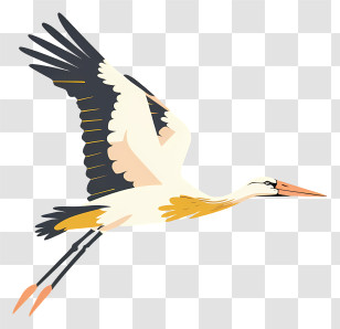 White Stork - Flying Stork Bird Cartoon Illustration Transparent PNG