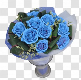 Blue Rose Garden Roses The Language Of Love Flower / Trading Bouquet - Flowering Plant - Diwali Brochure Red Purple Transparent PNG