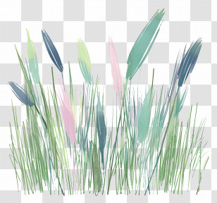 Grass - Colorful Grass Illustration Transparent PNG