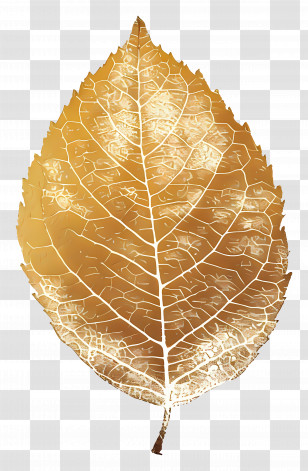 Gold Leaf - Shiny Golden Leaf Design Transparent PNG