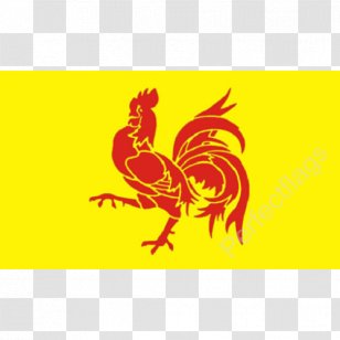 French Community Of Belgium Flag Wallonia Jolly Roger - Walloon Transparent PNG