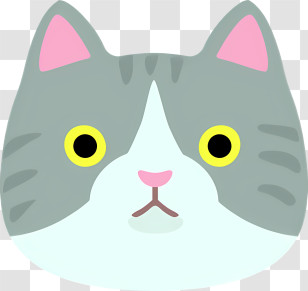 Worried Cat - Cartoon Grey Cat Face Illustration Transparent PNG
