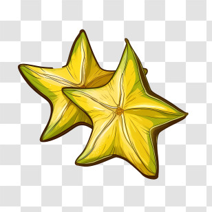 Starfruit - Sliced Star Fruit Illustration Transparent PNG