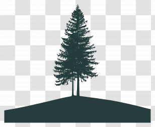 Pine Tree Silhouette - Pine Tree Silhouette Transparent PNG