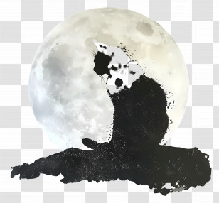 Cat Silhouette - Cat Silhouette With Moon Transparent PNG