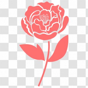 Moutan Peony Garden Roses Design Illustration Finishing School - Rose Family - Tea Transparent PNG