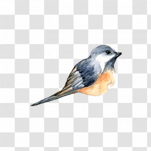 Bird Watercolor Painting Clip Art - Color Transparent PNG