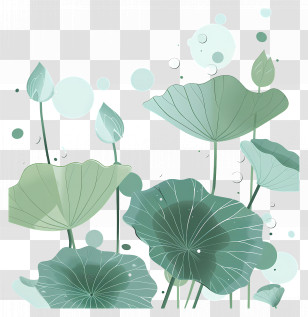 Lotus Leaves - Elegant Green Lotus Leaves Illustration Transparent PNG