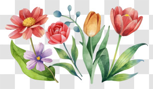Cartoon - Watercolor Flower Collection Transparent PNG