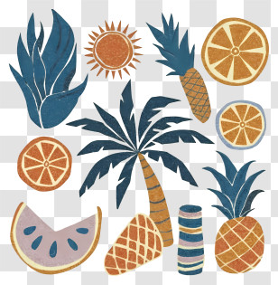 Tropical Fruit - Summer Fruits And Tropical Elements Illustration Transparent PNG