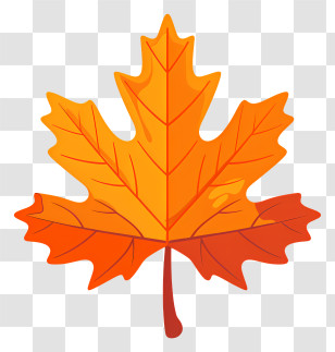 Maple Leaf - Bright Orange Maple Leaf For Autumn Themes Transparent PNG