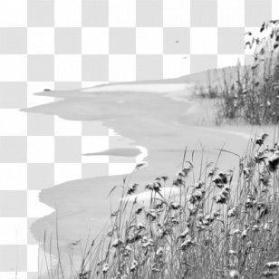 Lake Scenery - Stock Photography - Water Transparent PNG