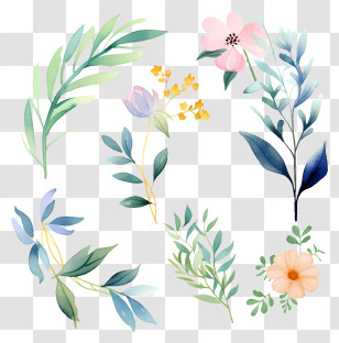 Picture Description - Watercolor Botanical Elements Illustration Transparent PNG