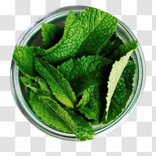 Chutney Tea Peppermint Mentha Spicata Herb - Recipe - Mint Leaf Transparent PNG