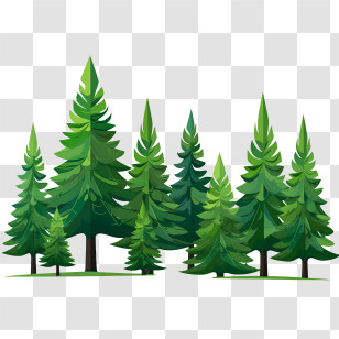 Christmas Tree - Green Pine Trees In Forest Illustration Transparent PNG