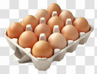 Carton Of Eggs - Carton Of Fresh Eggs For Grocery Illustration Transparent PNG