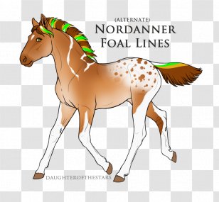 Mane Mustang Foal Stallion Mare - Bridle Transparent PNG