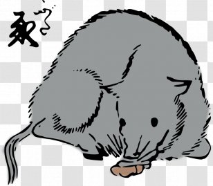 Rat Mouse Whiskers Cat Clip Art - Dog Like Mammal Transparent PNG