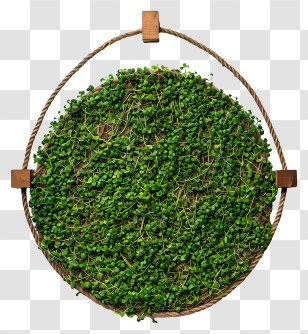 Green Grass - Hanging Circular Plant Decor In Wooden Frame Transparent PNG
