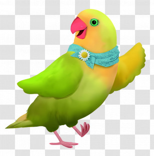 3rd And Bird - Adorable Green Cartoon Parrot Transparent PNG