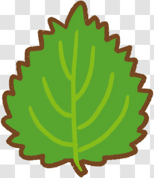 Icon - Green Leaf Cartoon Illustration Transparent PNG