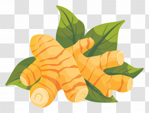 Fresh Ginger - Turmeric Roots And Leaves Illustration For Health And Spice Transparent PNG