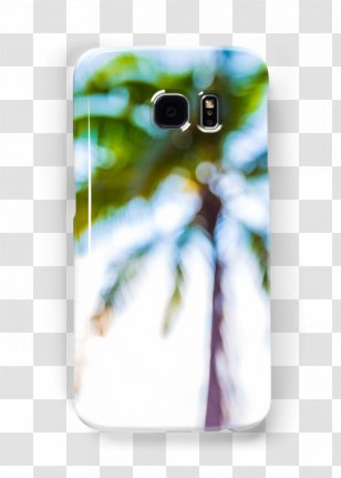 Mobile Phone Accessories Phones IPhone - Posters Decorative Palm Leaves Transparent PNG