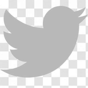 Social Media Computer Icons The Prince's Foundation Scalable Vector Graphics - Bird Transparent PNG