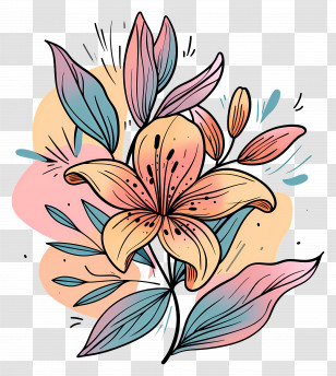Lily Bouquet - Elegant Hand-Drawn Lily Illustration Transparent PNG