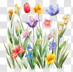 Spring Background - Colorful Flowers In Watercolor Art Transparent PNG