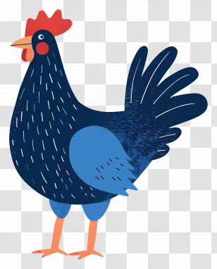 Hen - Blue Rooster With Vibrant Colors Transparent PNG
