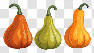 Gourds - Colorful Gourds Illustration Transparent PNG