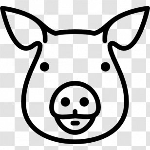 Domestic Pig Drawing - Head - Sheep Farm Transparent PNG