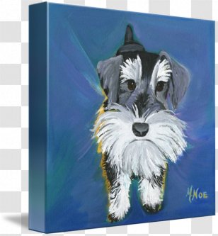 Miniature Schnauzer Schnoodle Puppy Giant Dog Breed - Drawing Transparent PNG