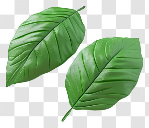 Green Leaf - Green Leaves Design With Realistic Texture Transparent PNG