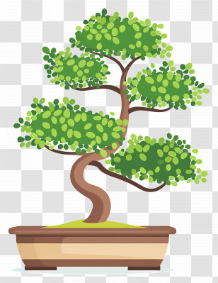 Bonsai Tree - Beautiful Bonsai Tree Illustration Transparent PNG