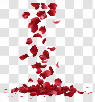 Falling Flowers - Falling Red Rose Petals Transparent PNG