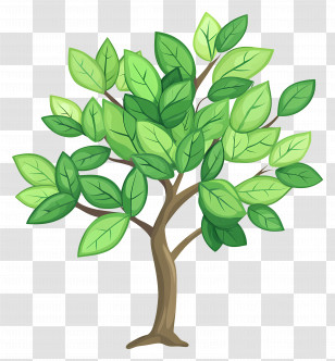 Dense Tree - Lush Green Leafy Tree Illustration Transparent PNG