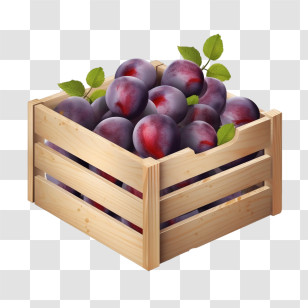 Plums Fruit
 - Fresh Plums In Wooden Crate Transparent PNG
